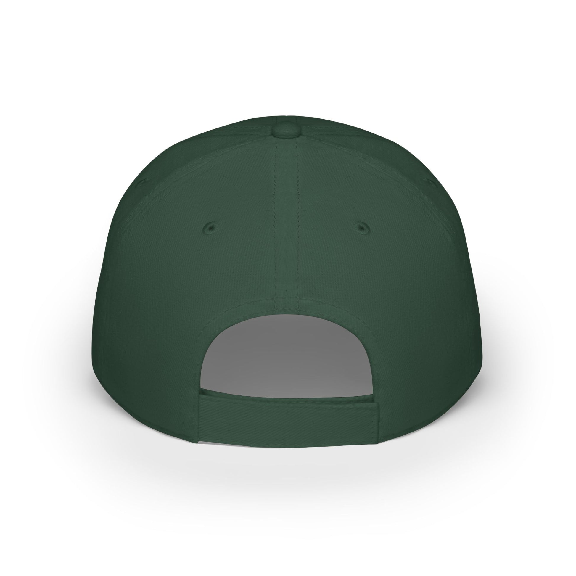 Don't Poke The Beaver Original Collection - Low Profile Baseball Cap - Don't Poke The Beaver Incorporated