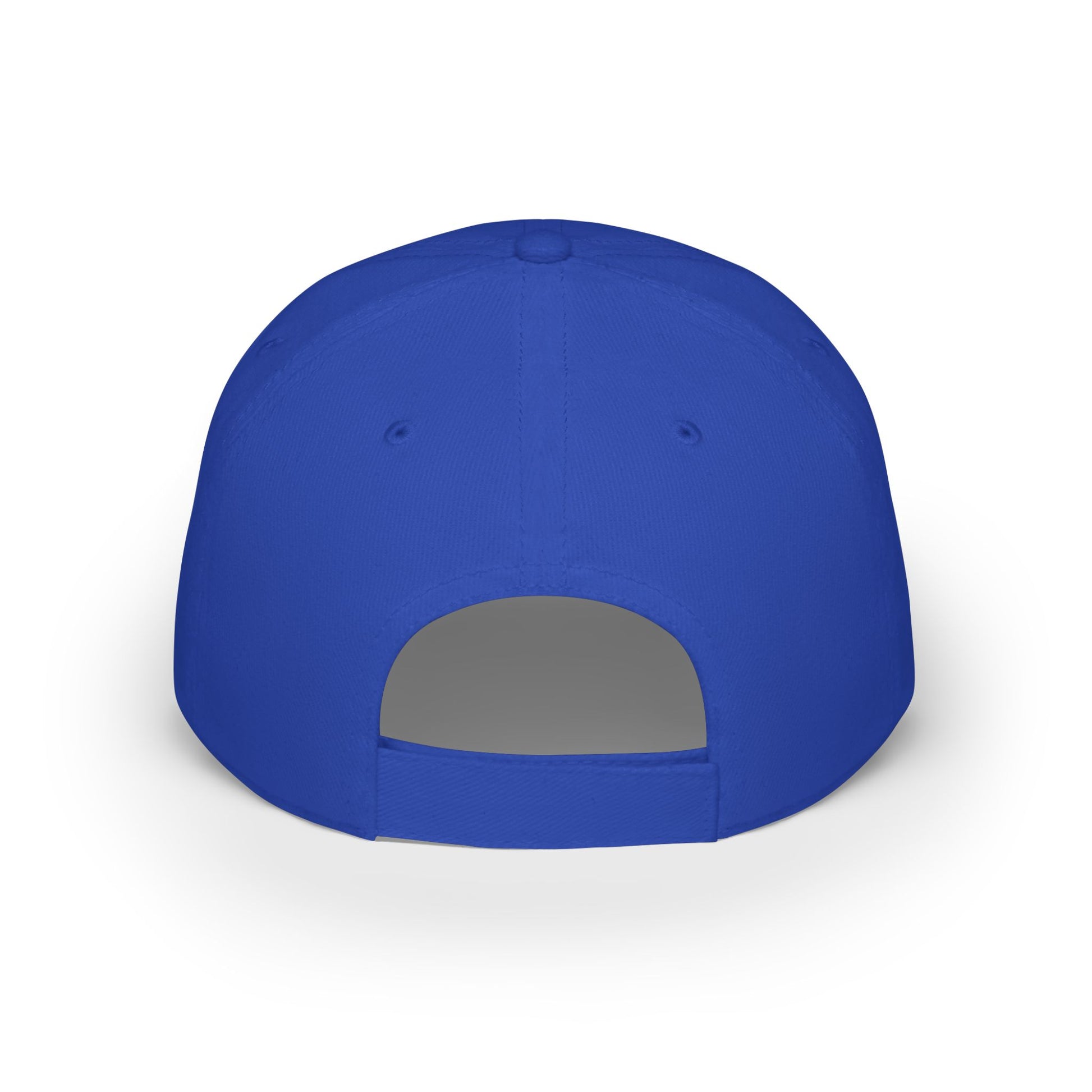 Don't Poke The Beaver Original Collection - Low Profile Baseball Cap - Don't Poke The Beaver Incorporated